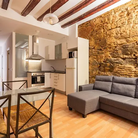 Gothic - Ramblas Apartament *