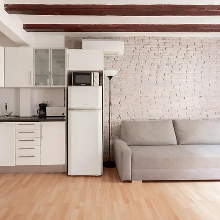 Gothic - Ramblas Apartament *